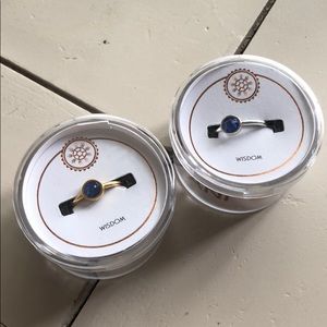 Alex and ani adjustable September ring